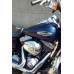 Dyna Switchback Dyna Switchback